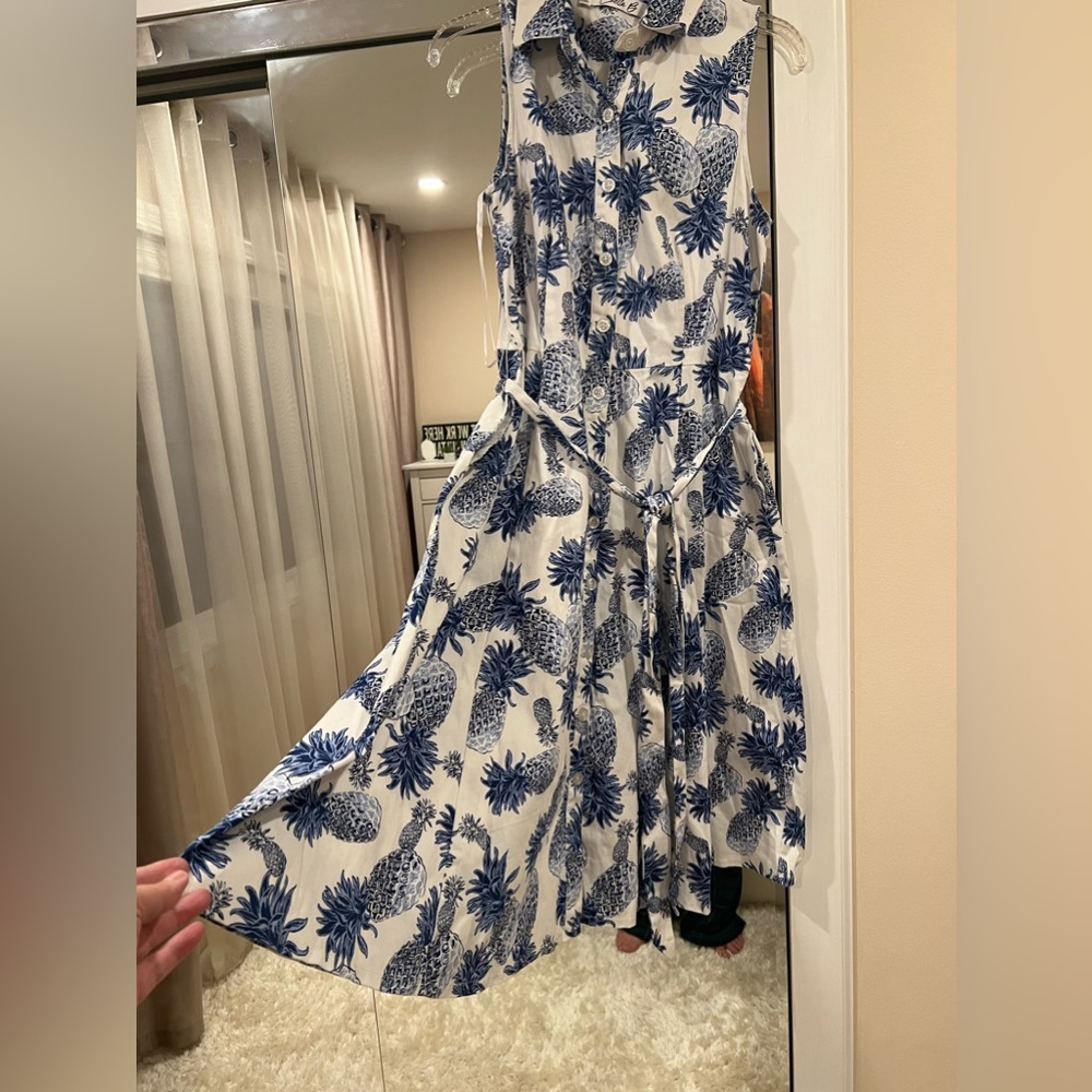 Super Cute Pineapple Print Collared/Belted A-line Dress from Chetta B